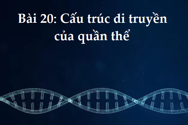 Bài 20: Cấu trúc di truyền của quần thể
