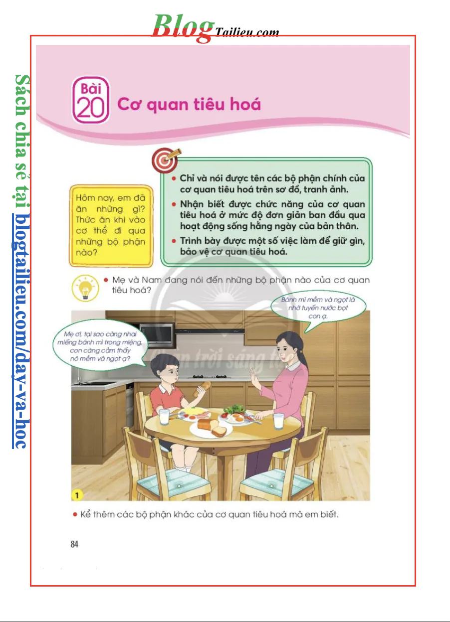 Bài 20: Cơ quan tiêu hoá