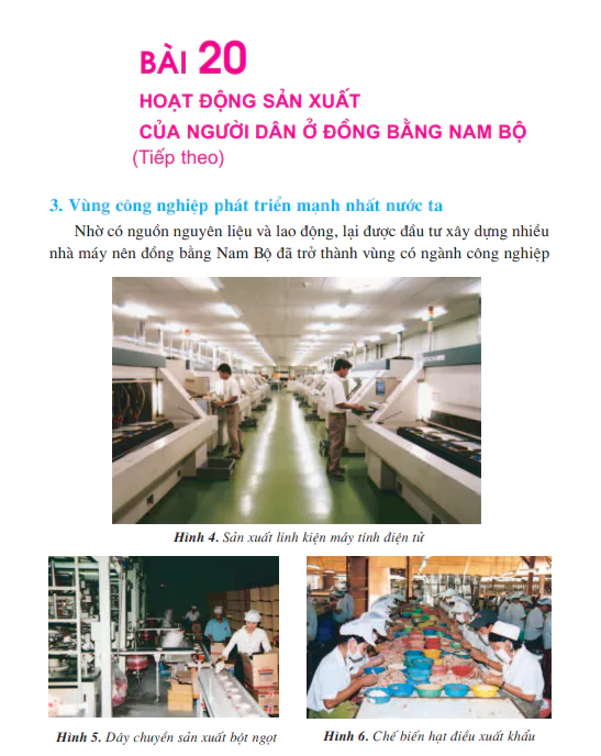 Bài 20: Hoạt động sản xuất của người dân ở đồng bằng Nam Bộ (tiếp theo)