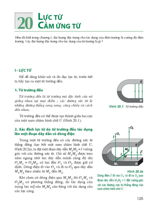 Bài 20: Lực từ. Cảm ứng từ 
