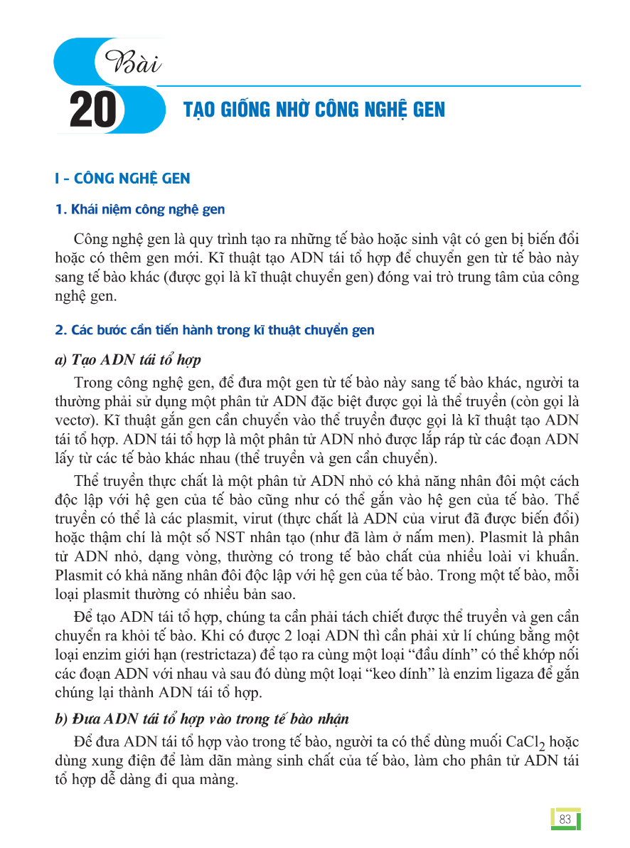 Bài 20: Tạo Giống Nhờ Công Nghệ Gen