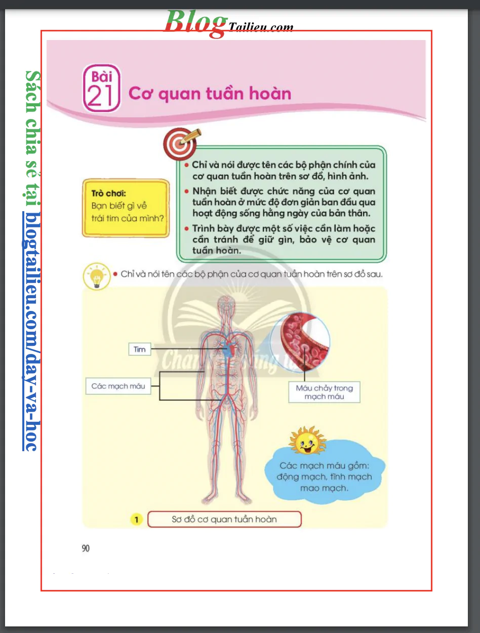 Bài 21: Cơ quan tuần hoàn