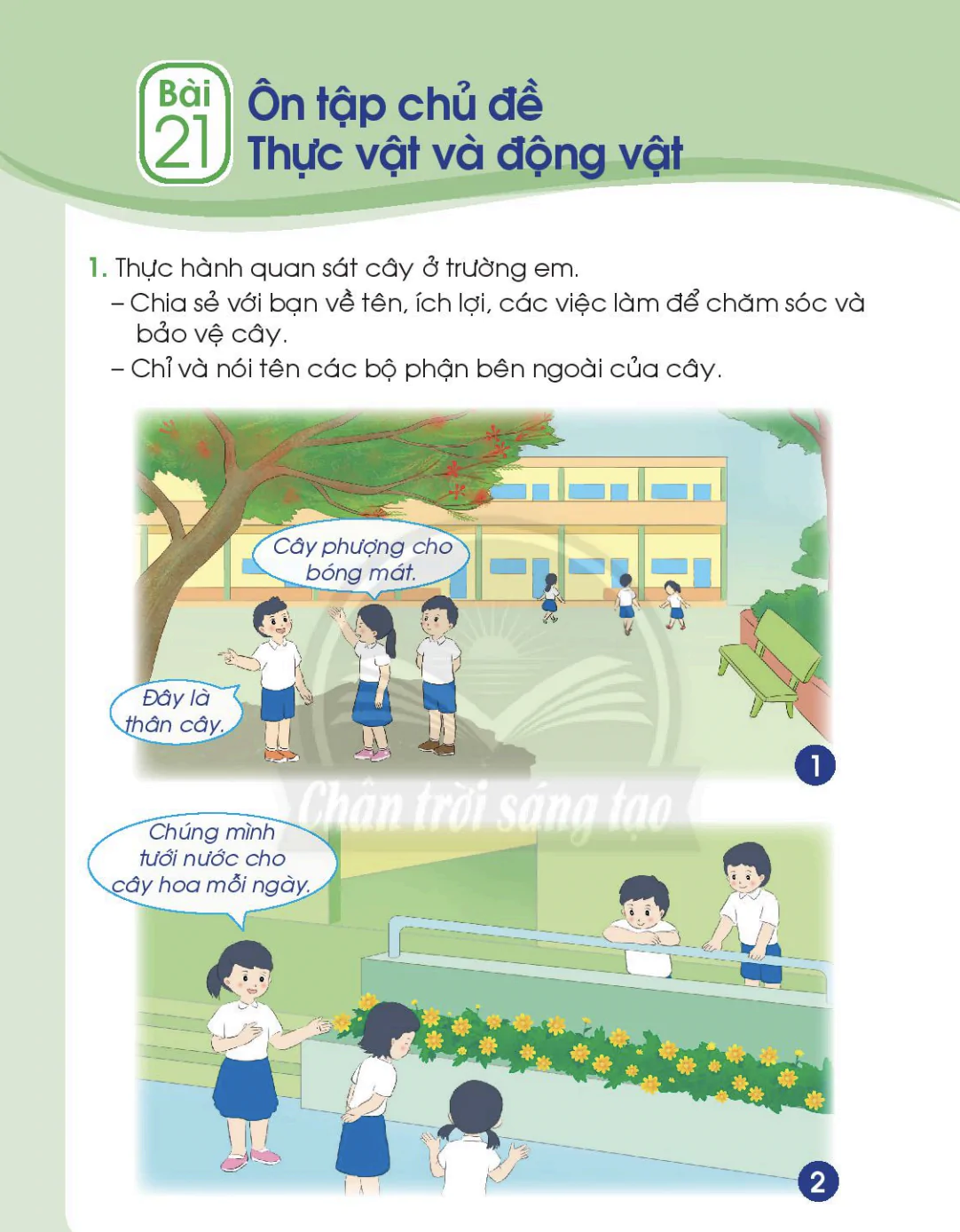 Bài 21: Ôn tập chủ đề Thực vật và động vật