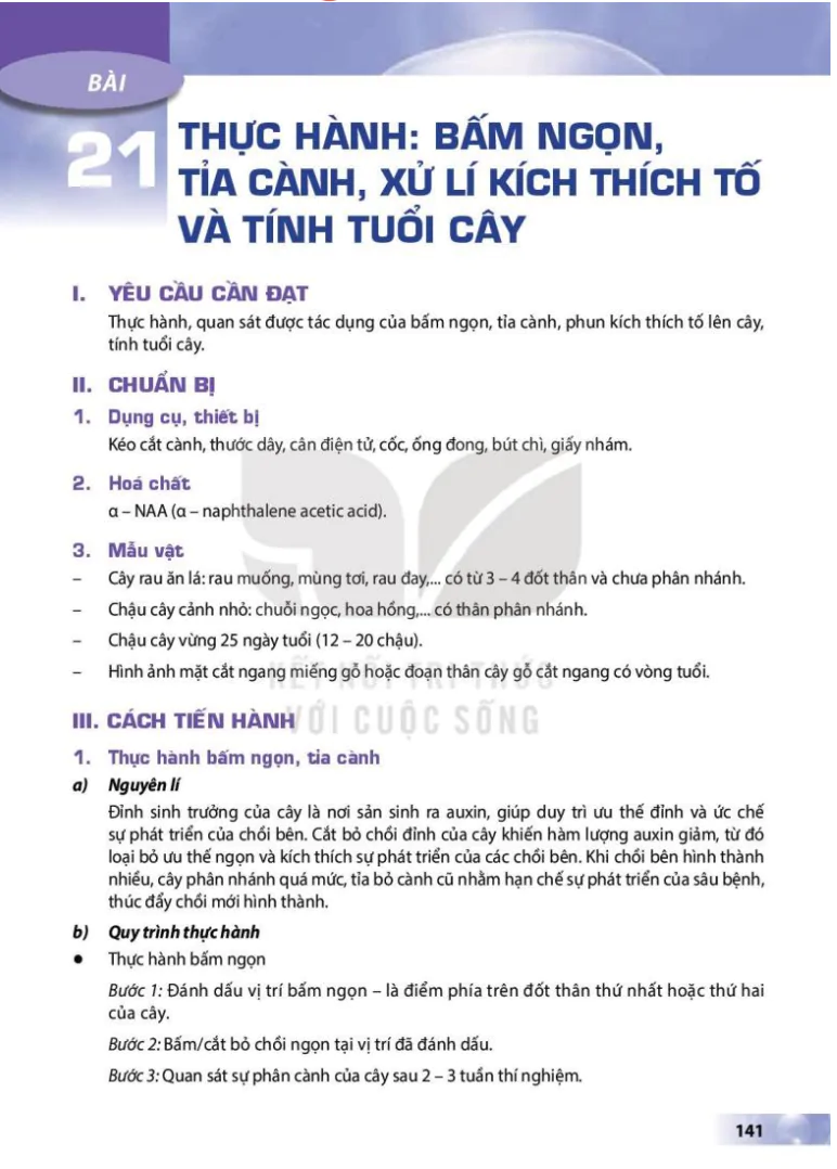 Bài 21: Thực hành: Bấm ngọn, tỉa cành, xử lí kích thích tố và tính tuổi cây