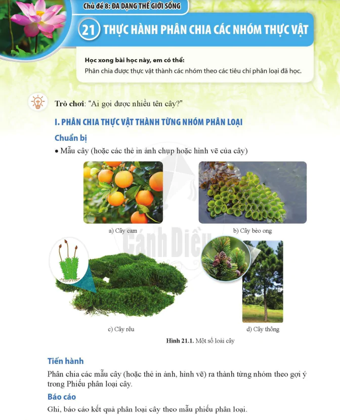 Bài 21. THỰC HÀNH PHÂN CHIA CÁC NHÓM THỰC VẬT