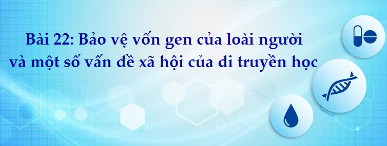 Bài 22: Bảo vệ vốn gen của loài người và một số vấn đề xã hội của di truyền học