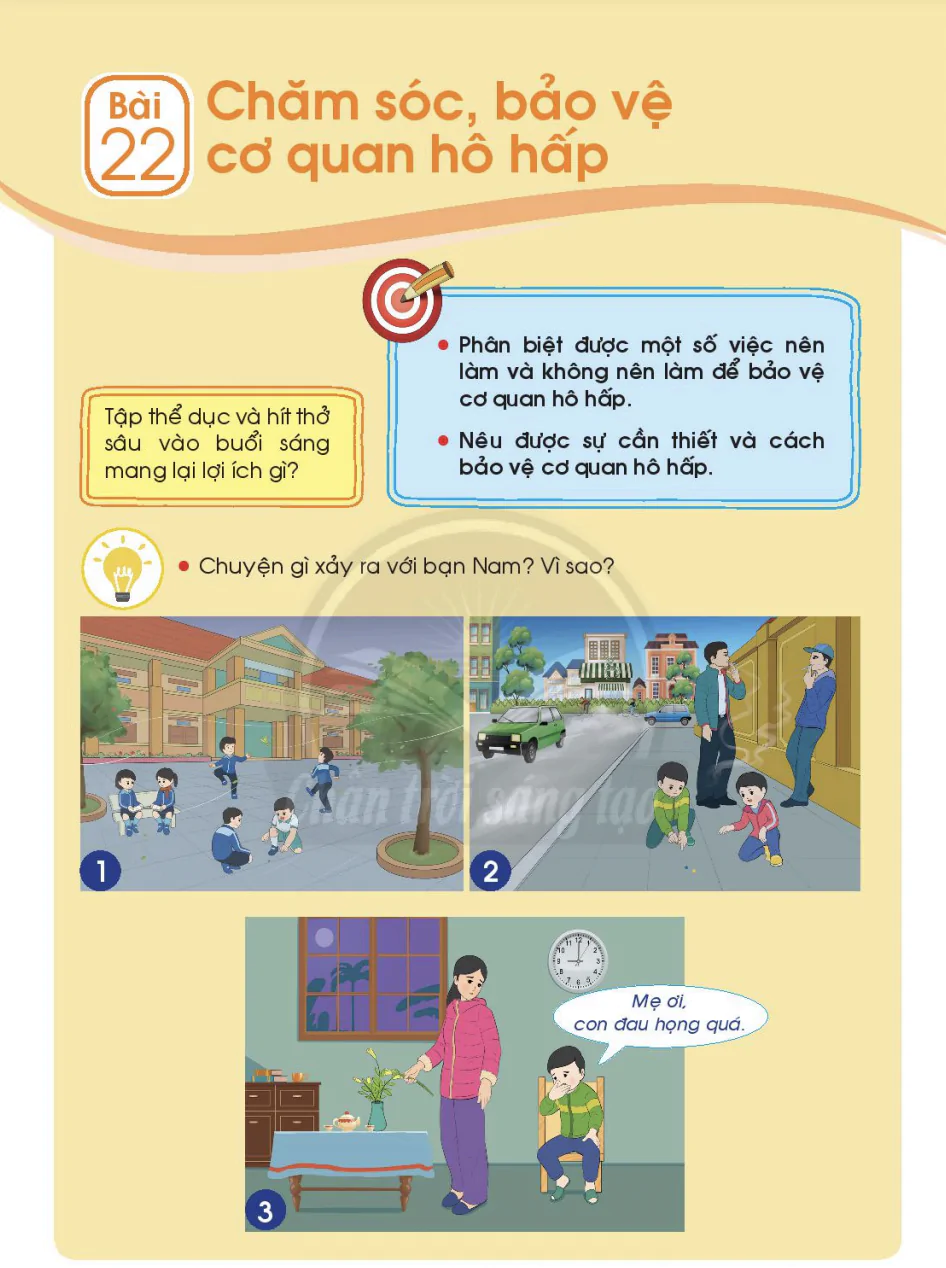 Bài 22: Chăm sóc, bảo vệ cơ quan hô hấp