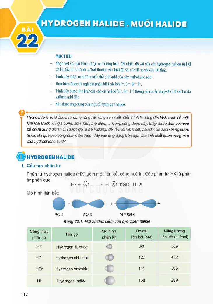 Bài 22: Hydrogen halide. Muối halide