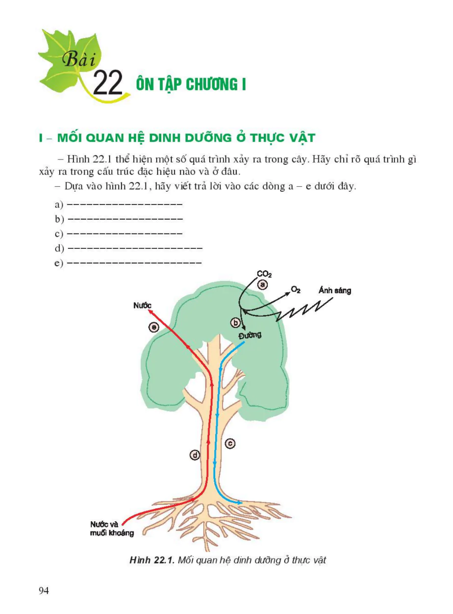 Bài 22: Ôn Tập Chương I