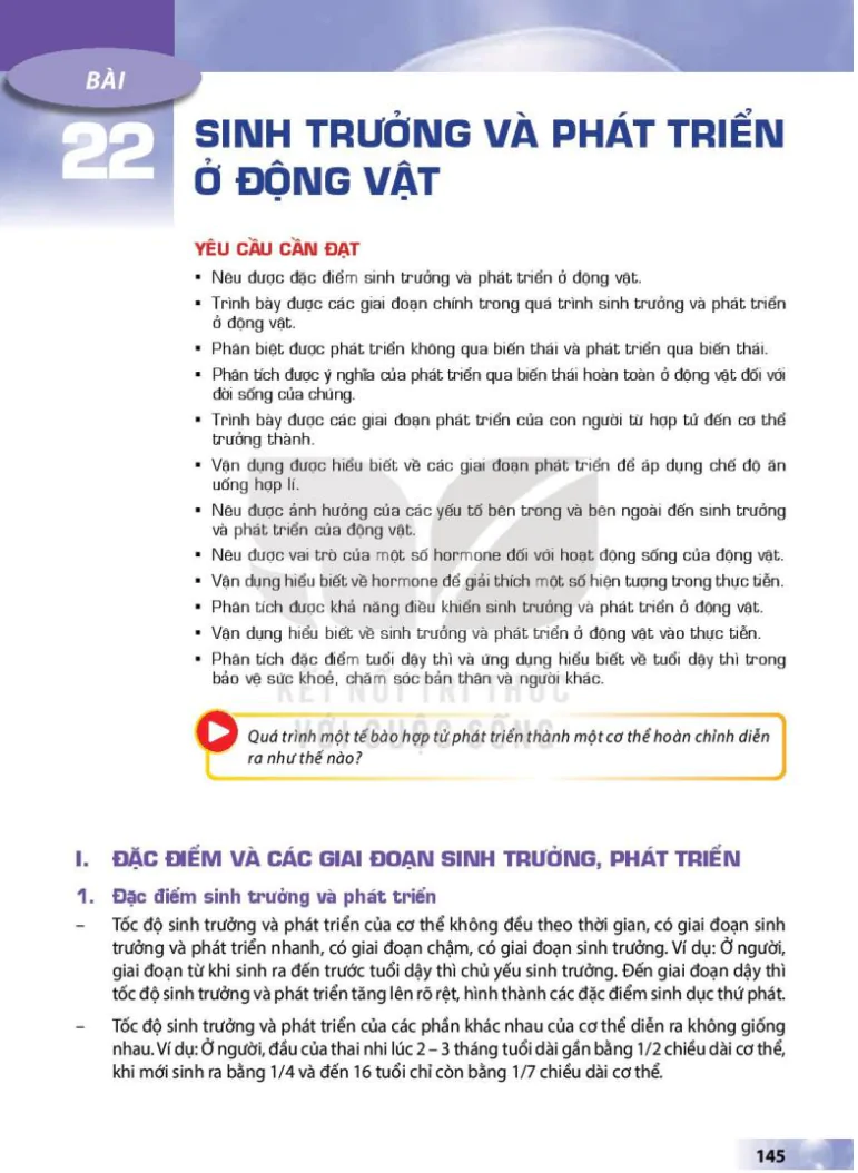 Bài 22: Sinh trưởng và phát triển ở động vật