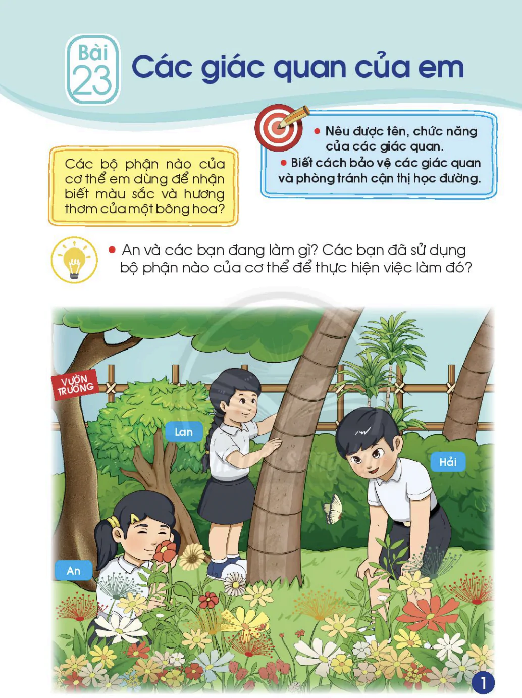 Bài 23: Các giác quan của em