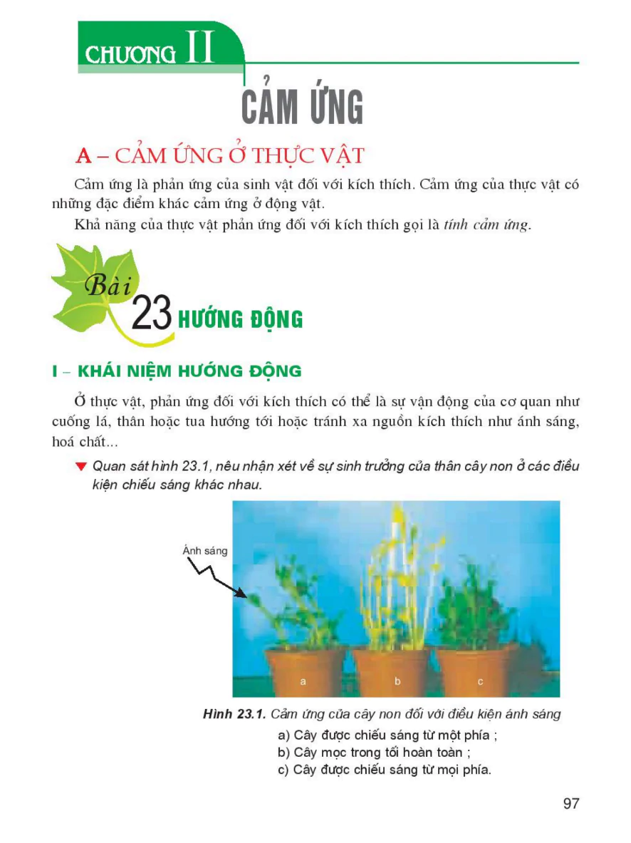 Bài 23: Hướng Động