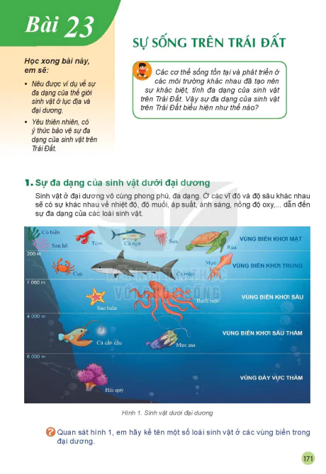 Bài 23: Sự sống trên Trái Đất