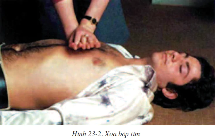 Bài 23. THỰC HÀNH: HÔ HẤP NHÂN TẠO