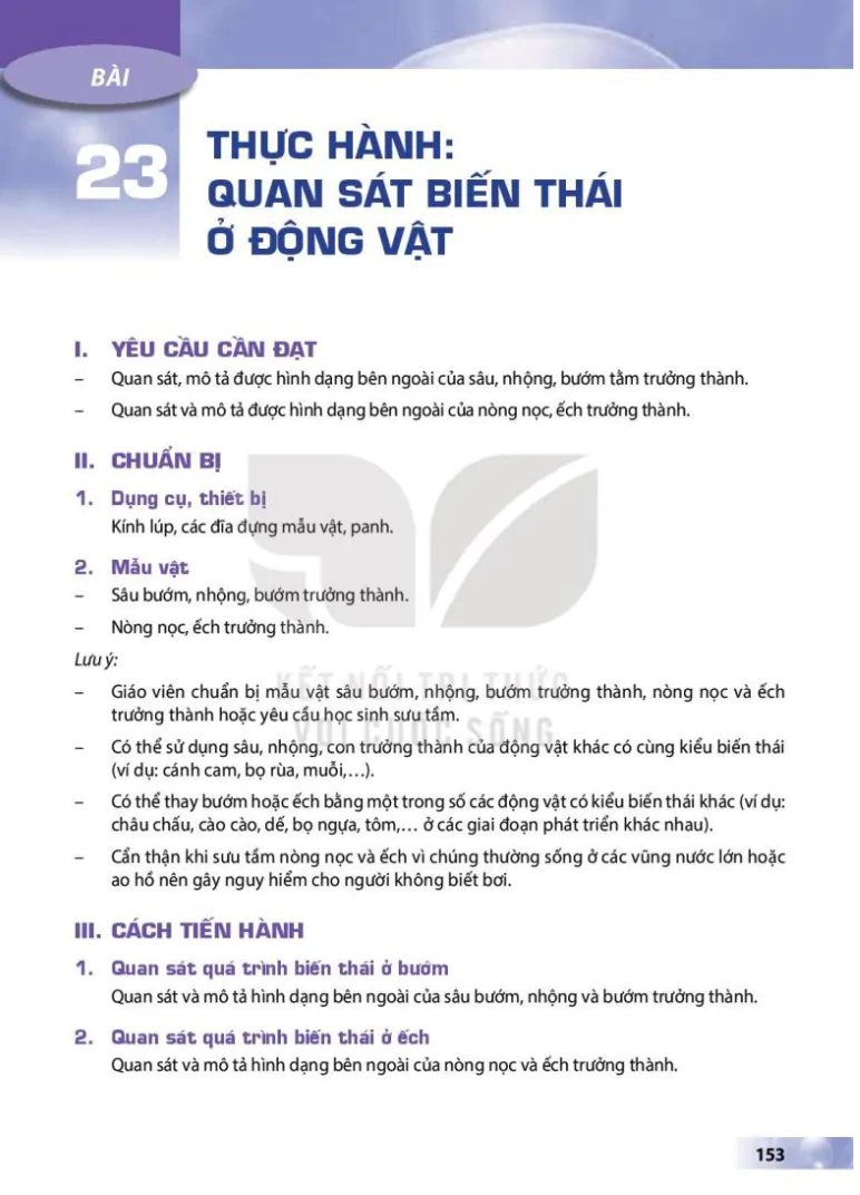 Bài 23: Thực hành: Quan sát biến thái ở động vật