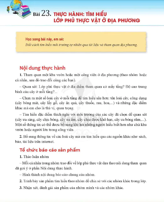 Bài 23. Thực hành: Tìm hiểu lớp phủ thực vật ở địa phương