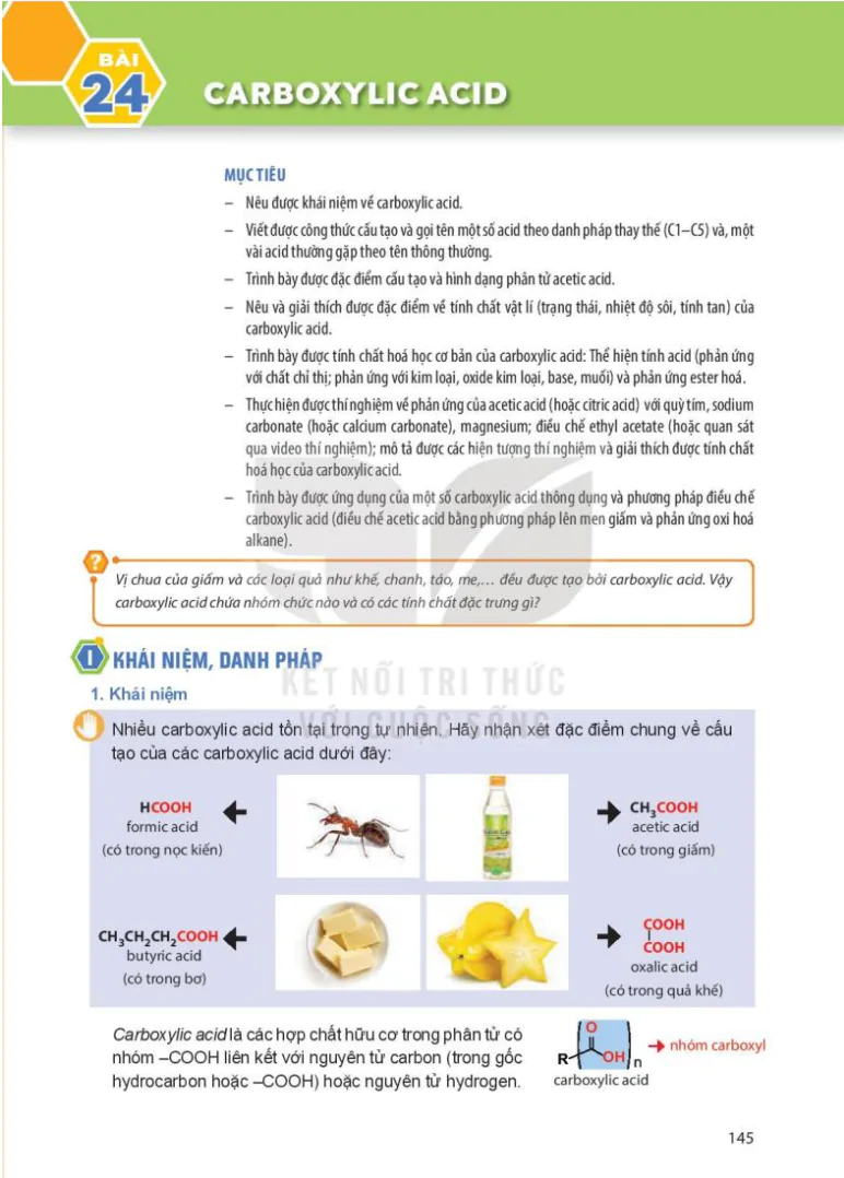 Bài 24: Carboxylic acid