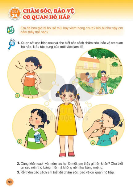 Bài 24: CHĂM SÓC, BẢO VỆ  CƠ QUAN HÔ HẤP