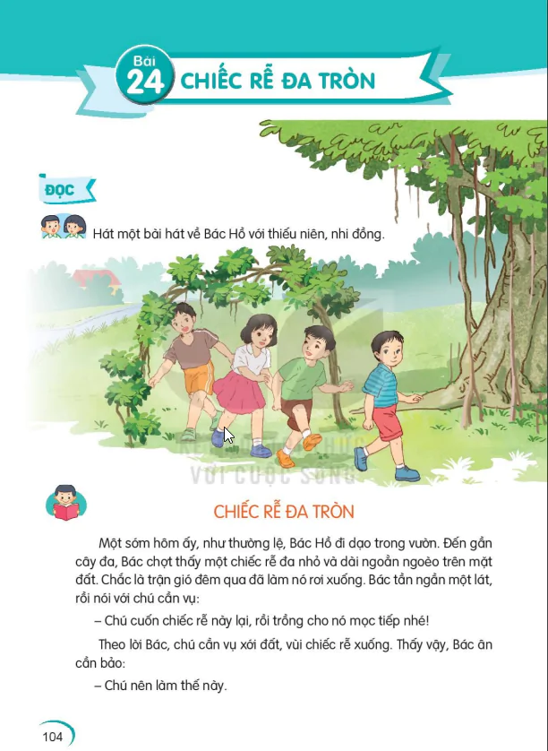 Bài 24: CHIẾC RỄ ĐA TRÒN