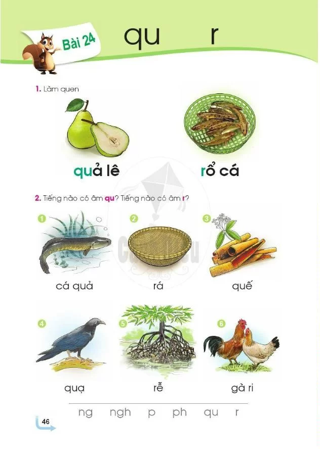 Bài 24: Chữ qu, r