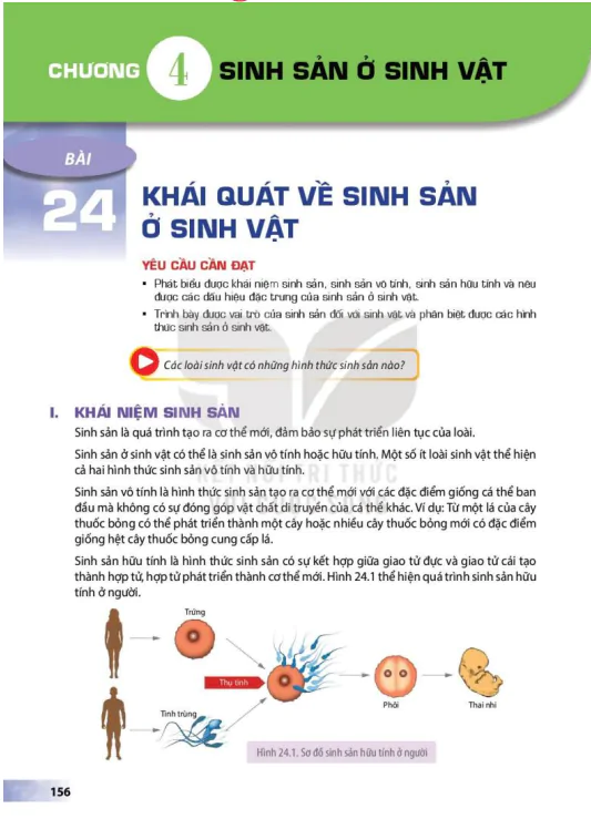 BÀI 24: KHÁI QUÁT VỀ SINH SẢN Ở SINH VẬT