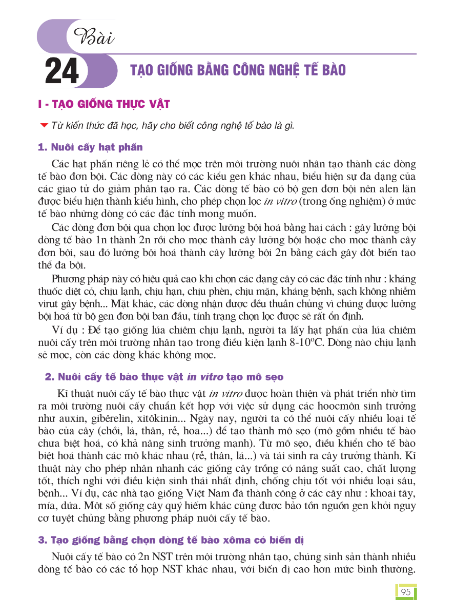 Bài 24: Tạo Giống Bằng Công Nghệ Tế Bào