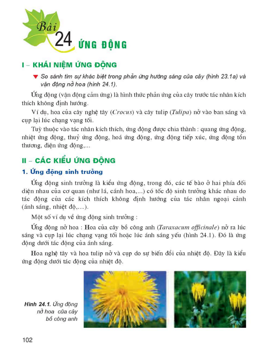 Bài 24: Ứng Động