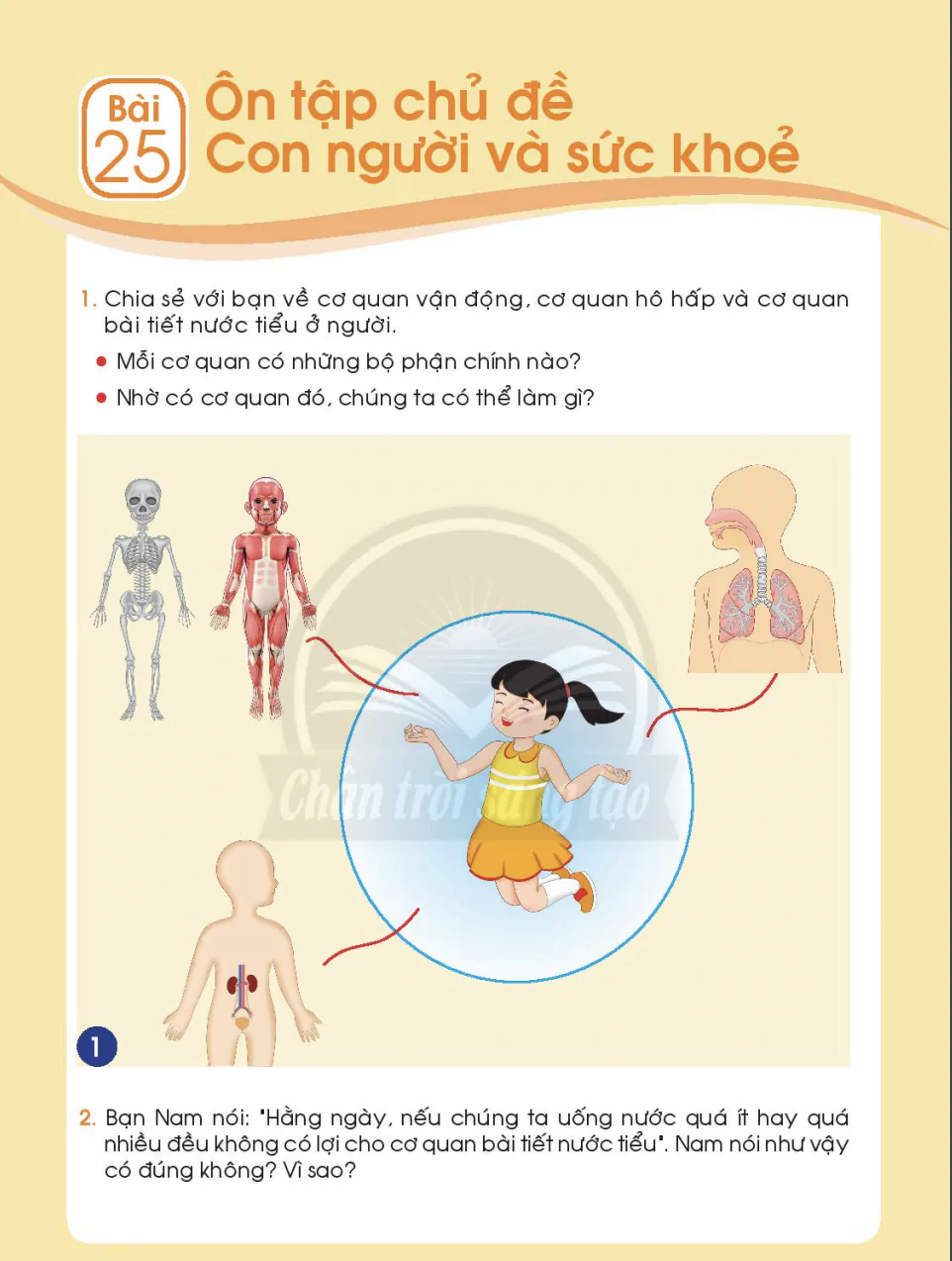 Bài 25: Ôn tập chủ đề Con người và sức khoẻ