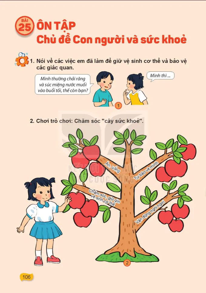 Bài 25: Ôn Tập Chủ Đề Con Người Và Sức Khỏe