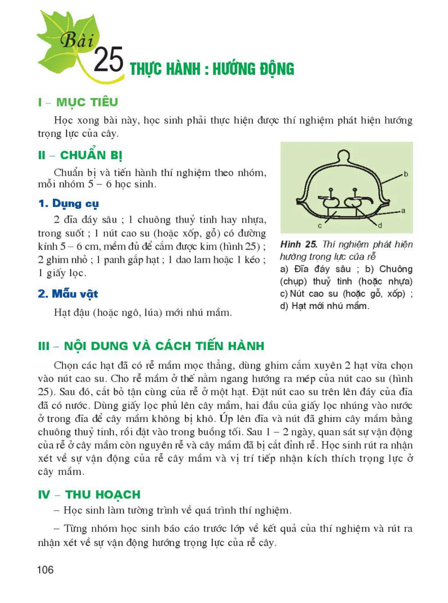 Bài 25: Thực Hành: Hướng Động