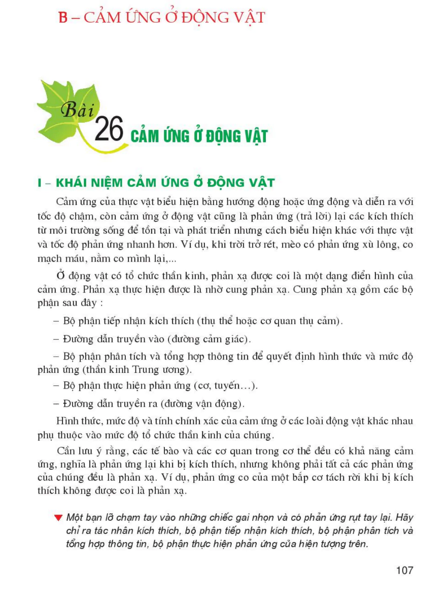 Bài 26: Cảm Ứng Ở Động Vật