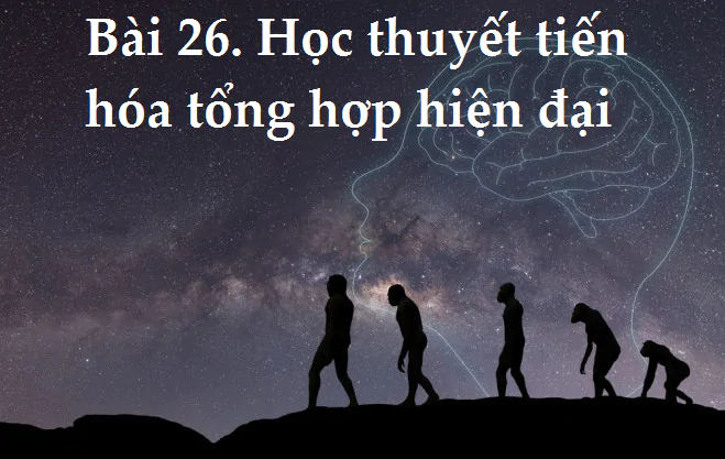 Bài 26. Học thuyết tiến hóa tổng hợp hiện đại