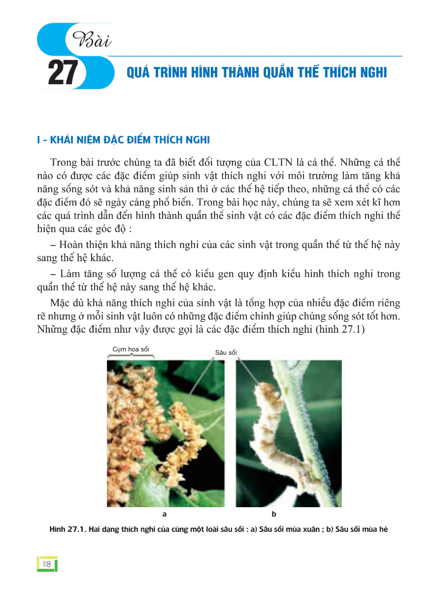 Bài 27: Quá Trình Hình Thành Quần Thể Thích Nghi