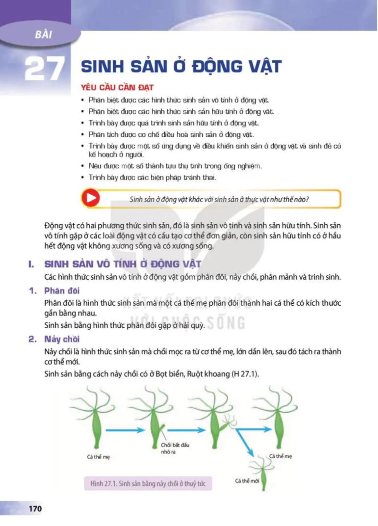 Bài 27: Sinh sản ở động vật