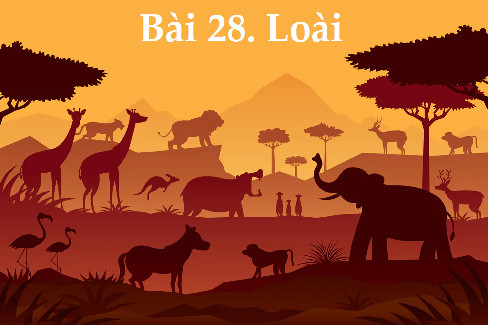 Bài 28. Loài