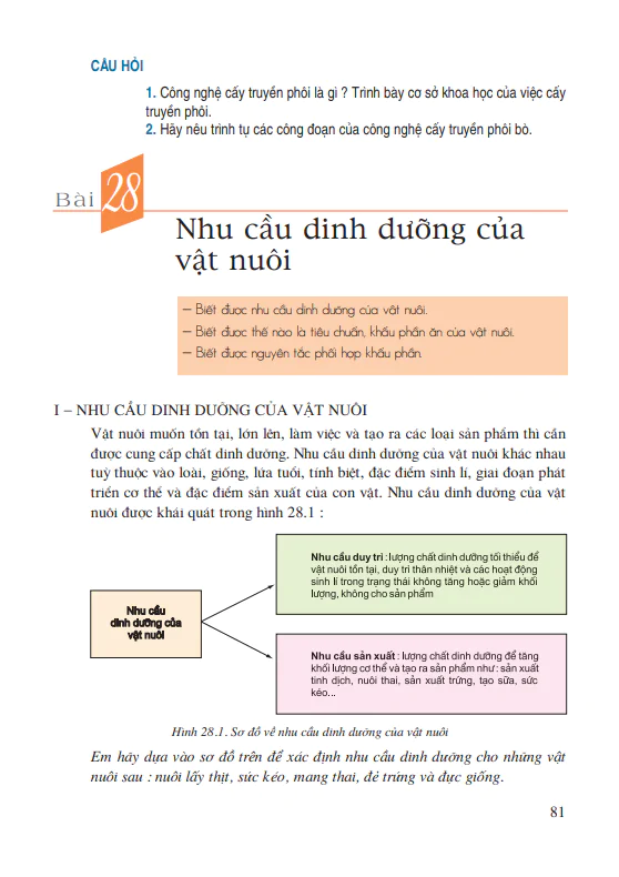 Bài 28: Nhu cầu dinh dưỡng của vật nuôi