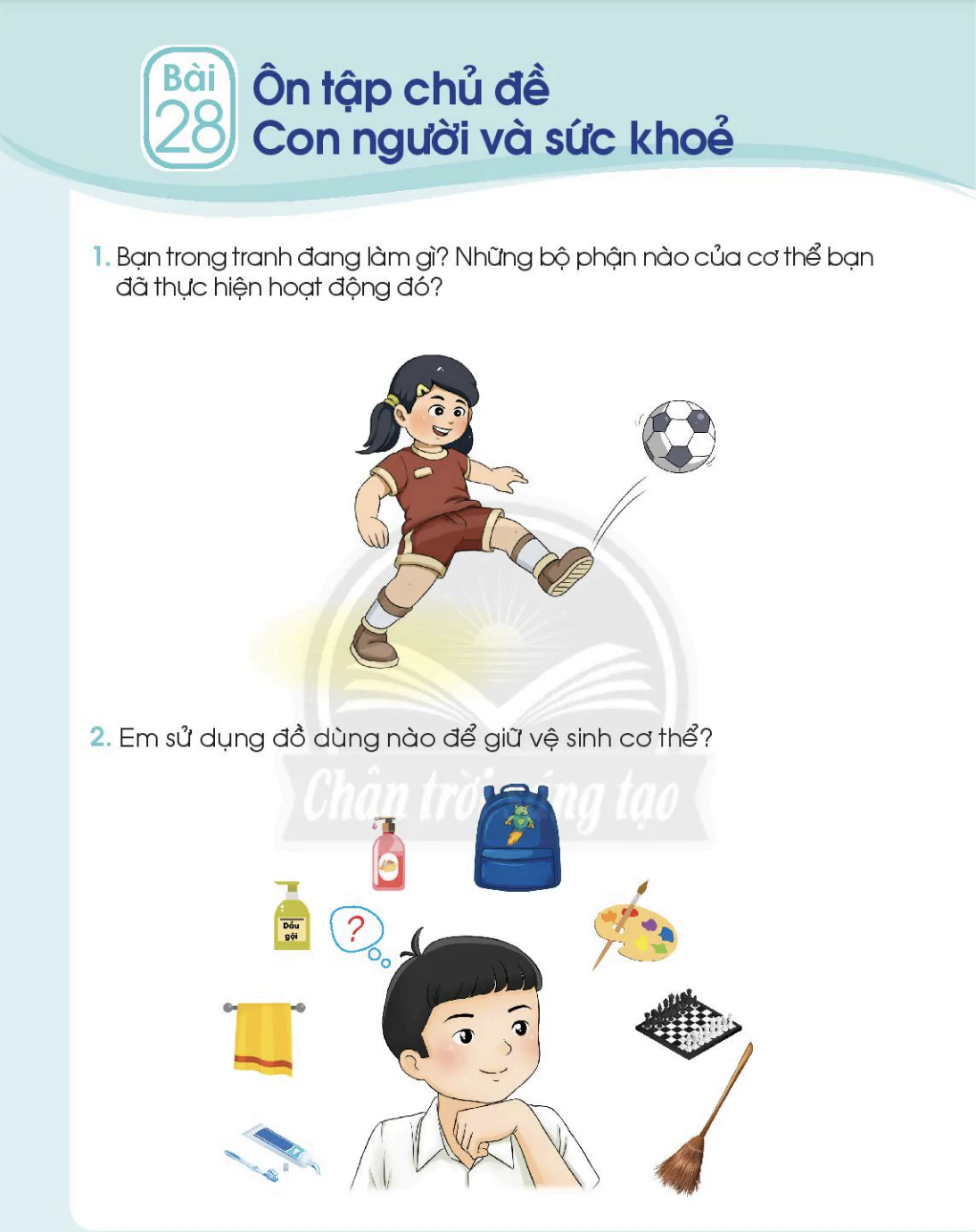 Bài 28: Ôn tập chủ đề con người và sức khoẻ