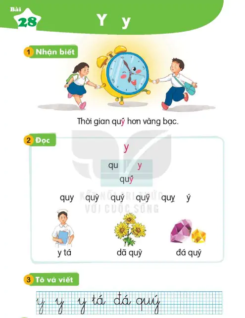 Bài 28: Y y