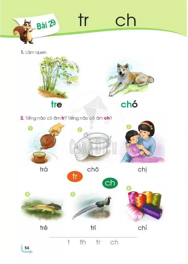 Bài 29: Chữ tr, ch