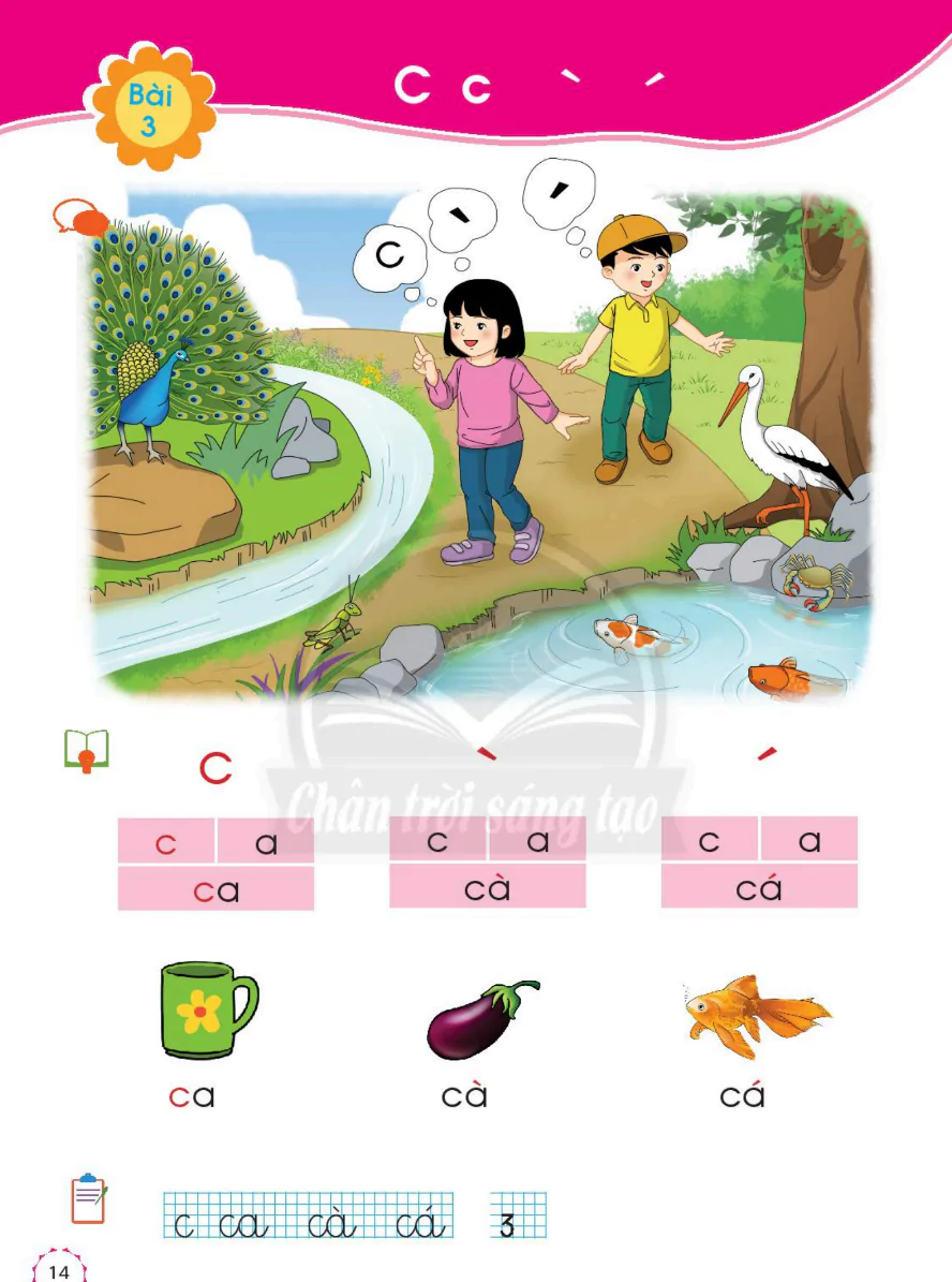 Bài 3: C c ` ´