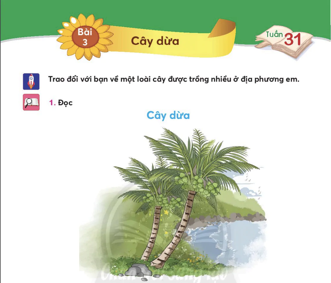 Bài 3: Cây dừa