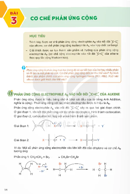 Bài 3: Cơ Chế Phản Ứng Cộng