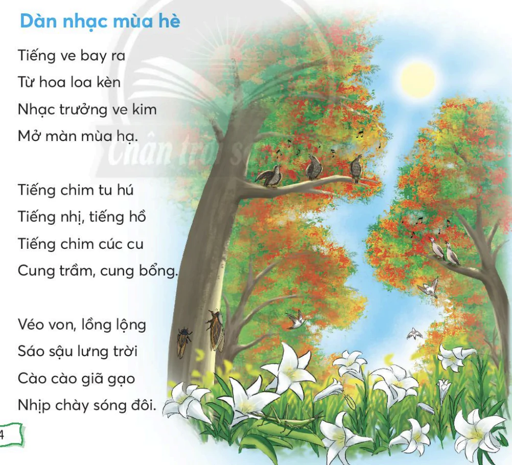 Bài 3: Dàn nhạc mùa hè