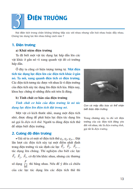 Bài 3: Điện trường