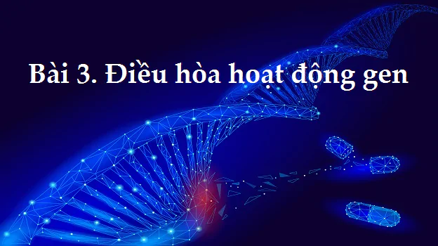 Bài 3: Điều hòa hoạt động của gen
