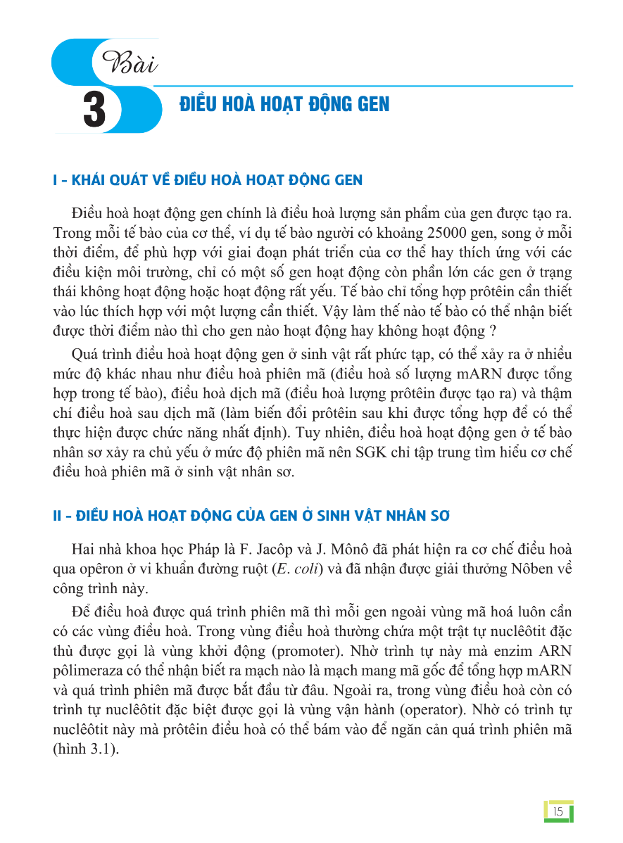 Bài 3: Điều Hòa Hoạt Động Gen