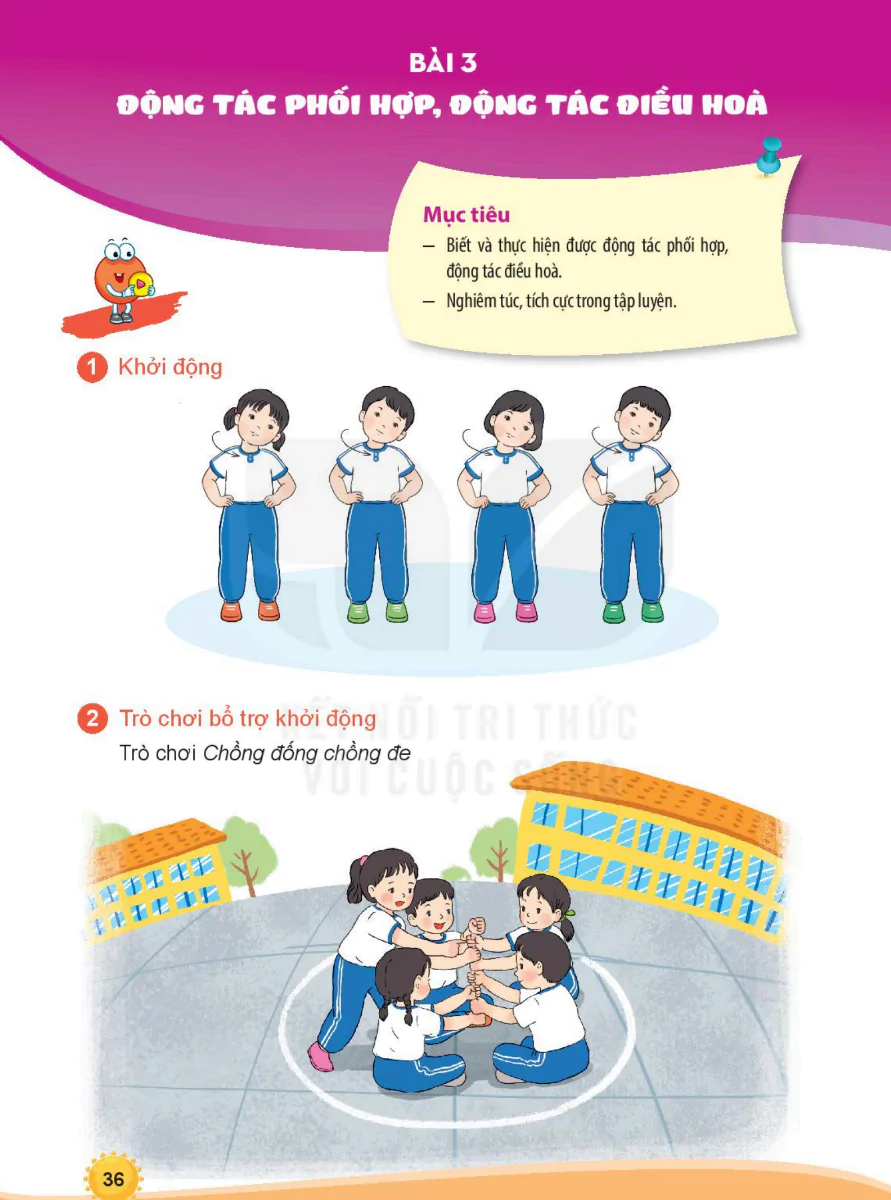 Bài 3: Động Tác Phối Hợp, Động Tác Điều Hòa