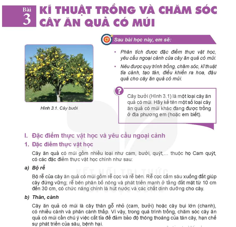 Bài 3: Kĩ thuật trồng và chăm sóc cây ăn quả có múi
