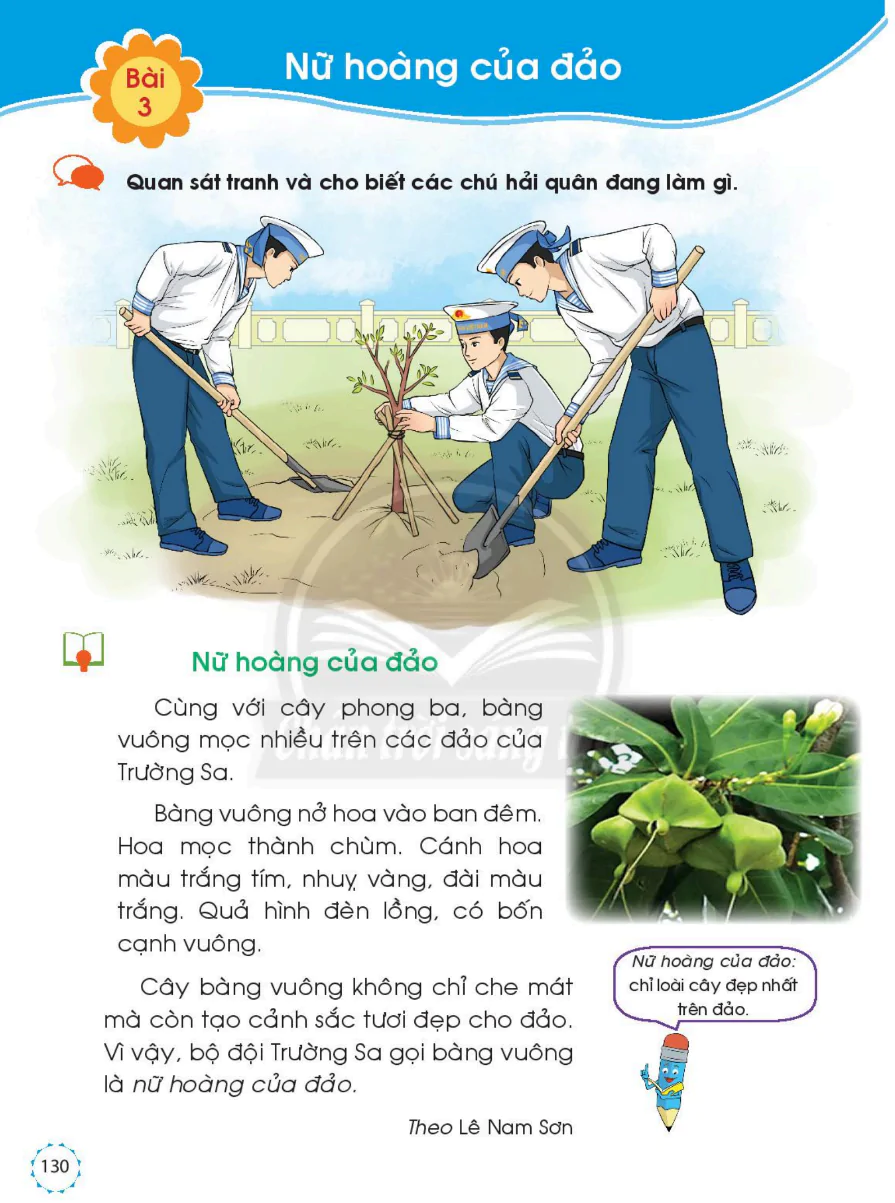 Bài 3: Nữ Hoàng Của Đảo