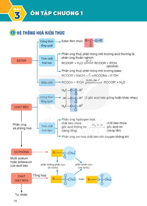 BÀI 3: ÔN TẬP CHƯƠNG 1